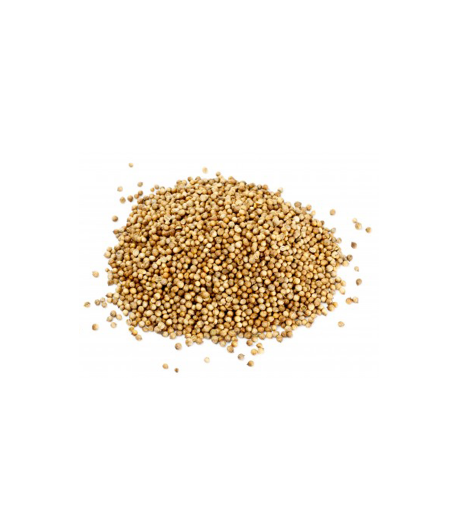 Grains de coriandre