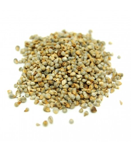 Grains de Millet (ايلان بلدي)